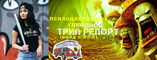 тгк Алексеевка