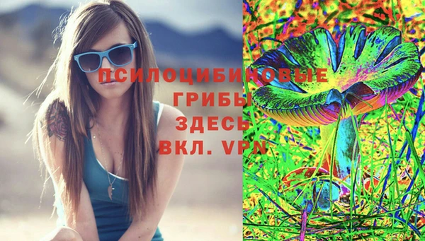 тгк Алзамай