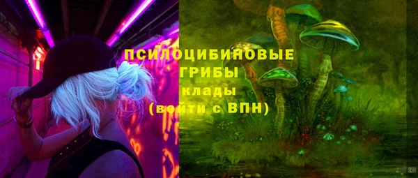 тгк Алзамай